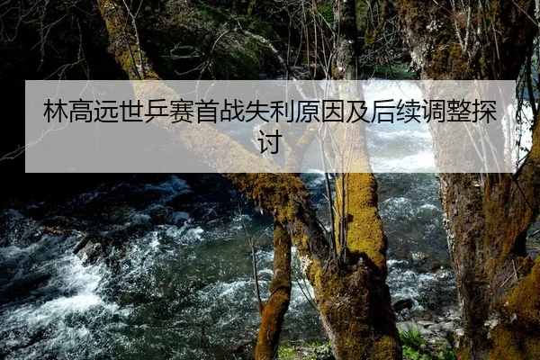 林高远世乒赛首战失利原因及后续调整探讨