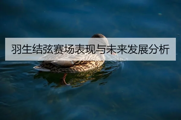 羽生结弦赛场表现与未来发展分析